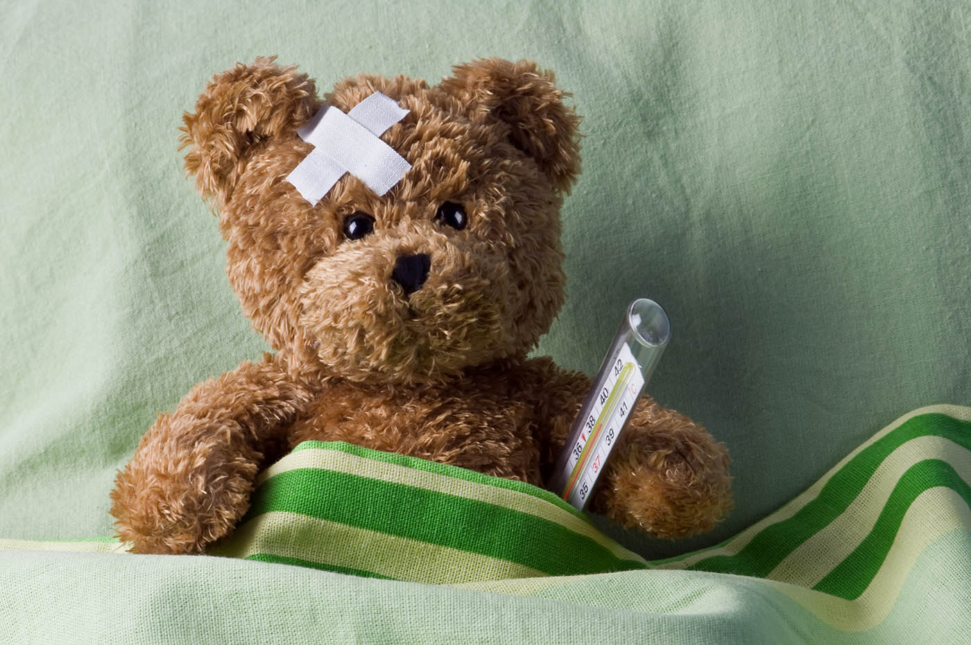 Income protection need illustrated by a teddy bear in bed with a plaster on his head and a thermometer.