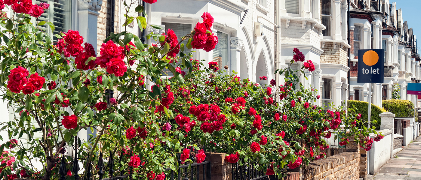 Buy-to-Let Mortgage. If you are looking to invest in buy-to-let, an independent mortgage advisor can guide you.